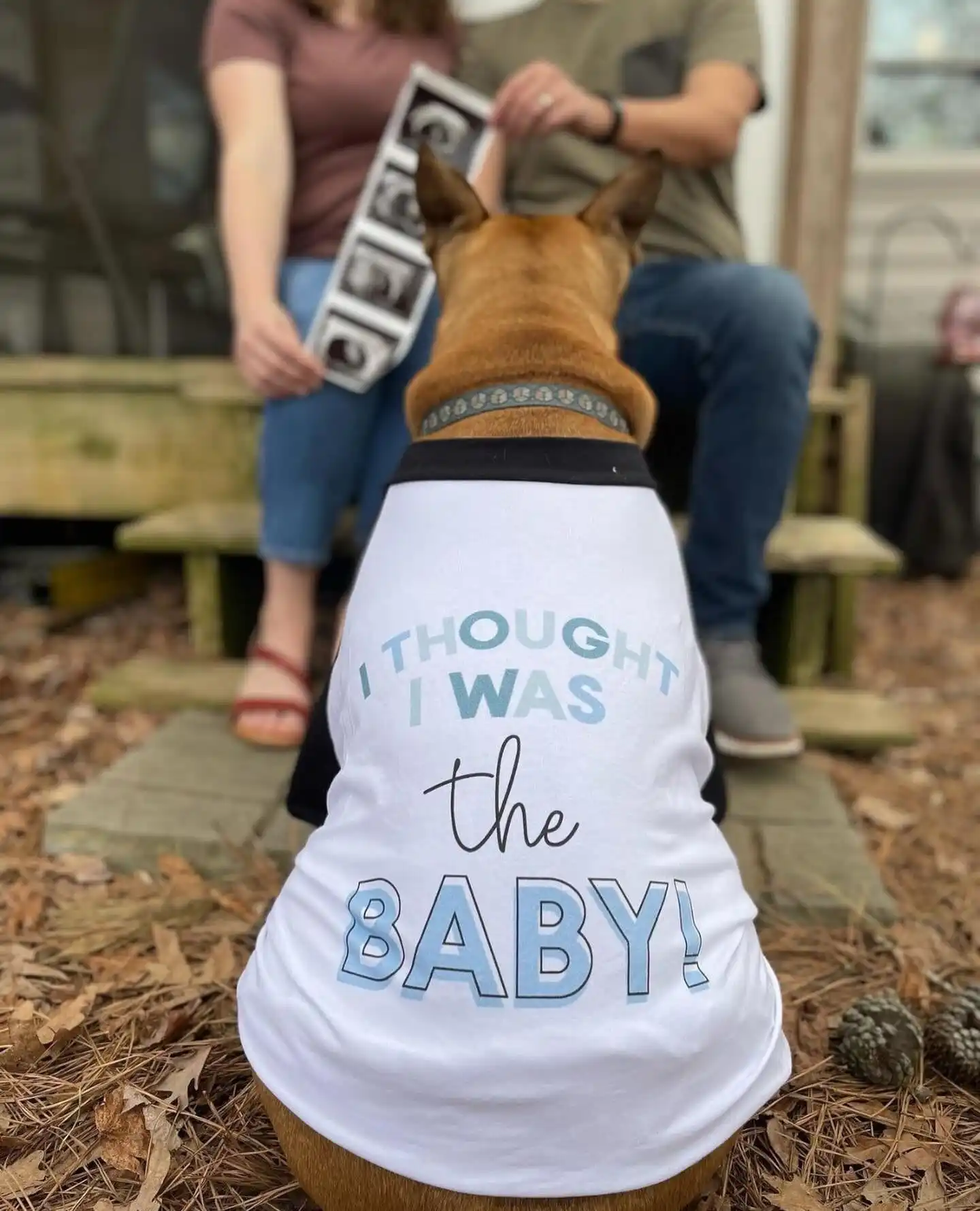 Back view of a tan dog in a white shirt reading "I thought I was the baby" while a couple behind him holds an ultrasound strip