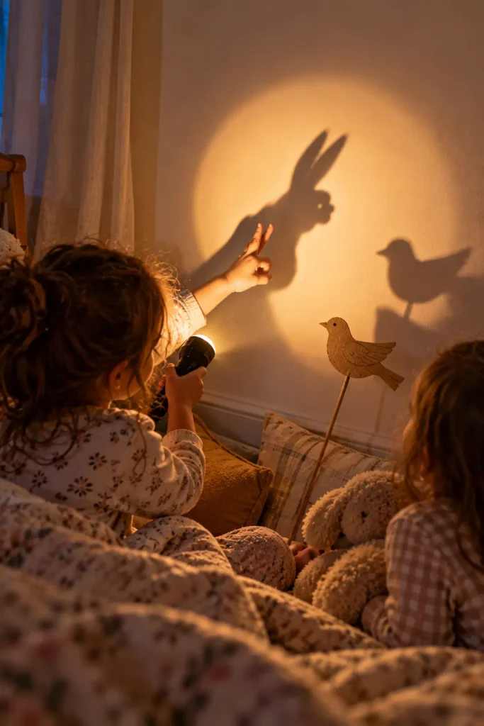 Flashlight Shadow Puppet Show