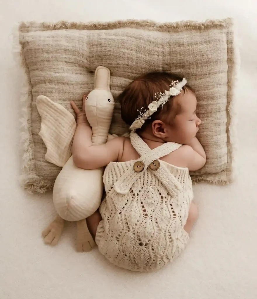 Sleepy Side Pose on a Linen Pillow With a Plush Goose