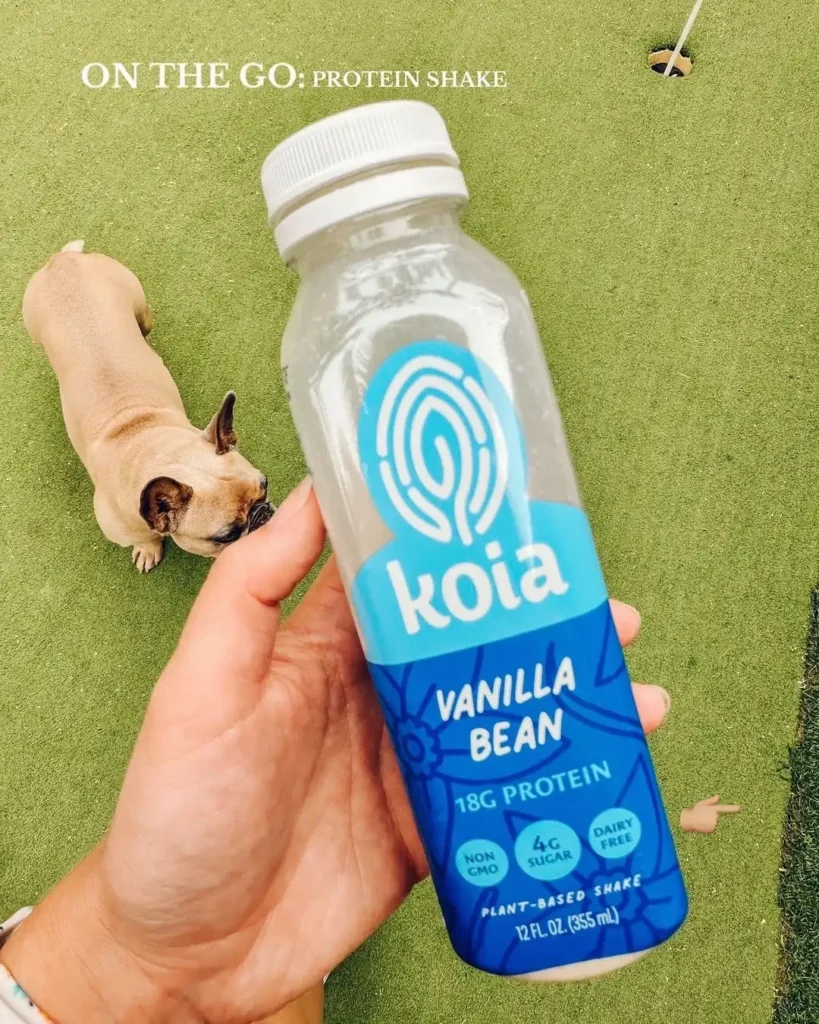 Hand holding a bottle of vanilla bean plant based protein shake with 18g protein on the label, with a small dog on green grass behind it